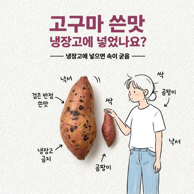 고구마 보관법 냉장고에 넣으면 속이 굳음 고구마 싹 곰팡이 실온보관 냉동 검은 반점 쓴맛
