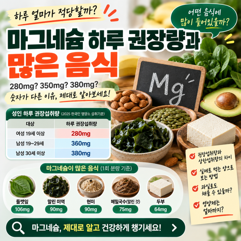 마그네슘 하루 권장량 많은 음식, 음식으로 하루치 채우는 법
