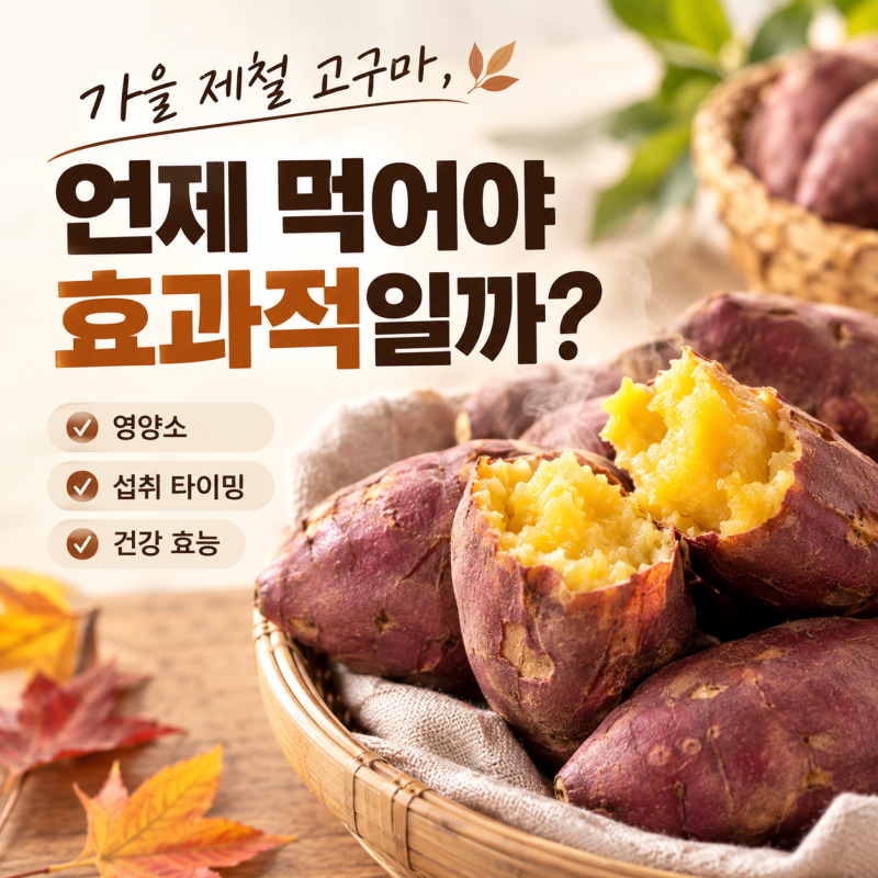 가을철 제철식품 고구마 다이어트 먹는 시간 식단 추천
