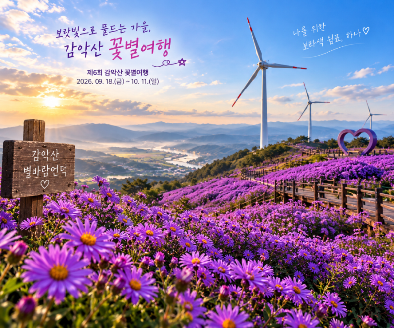 2026 거창 감악산 꽃별여행 아스타국화 축제 일정·주차·셔틀버스