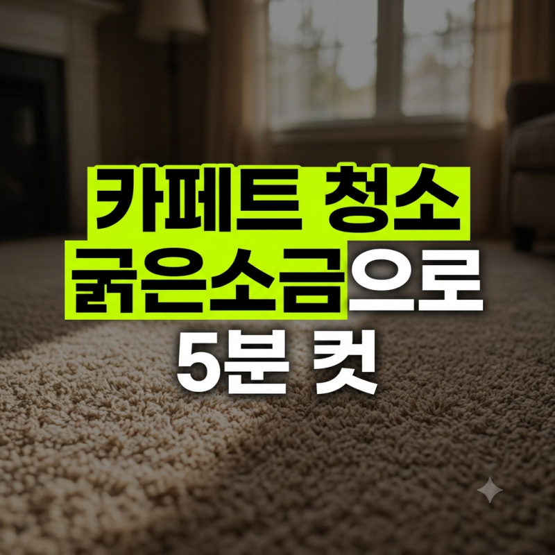 거실 카페트 청소 카페트 청소 방법 세탁기 없이 5분 만에 먼지 냄새 싹 잡는법