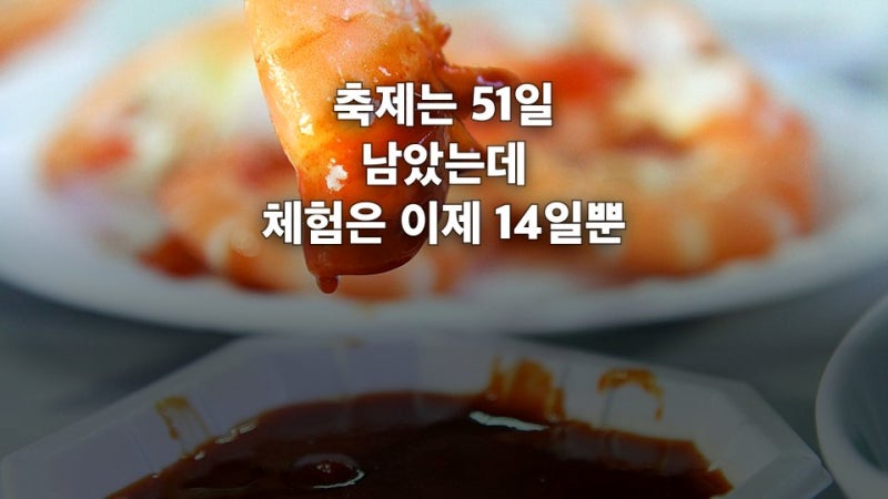 홍성 남당항 대하축제, 11월 8일까지인데 맨손잡기는 이제 14일뿐이더라구요