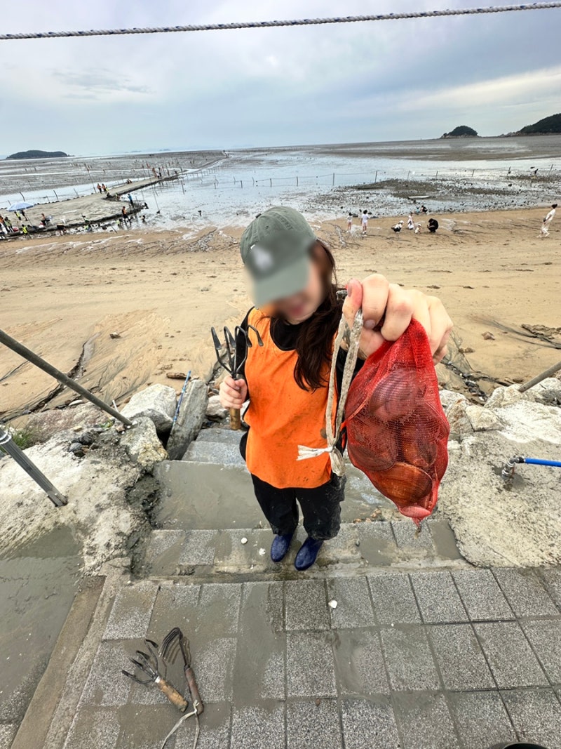 대왕조개 와르르 잡은 인천영종도 마시안갯벌체험장 조개캐는 꿀팁 공개합니다..