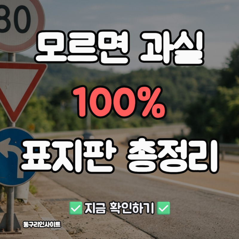 모르면 과실 100% — 베테랑 운전자도 헷갈리는 표지판 총정리