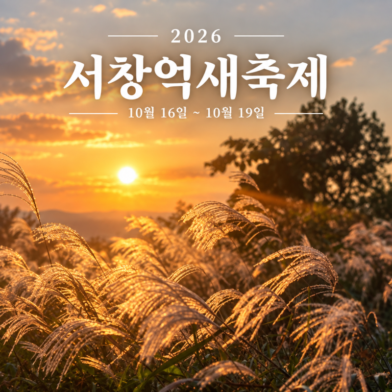 2026 광주 가볼만한곳｜서창억새축제 기간 영산강 억새 노을