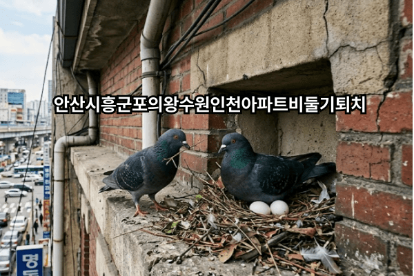 안산시흥군포의왕수원인천아파트비둘기 번식기 놓치면 후회, 2026년 비둘기둥지 특징 총정리