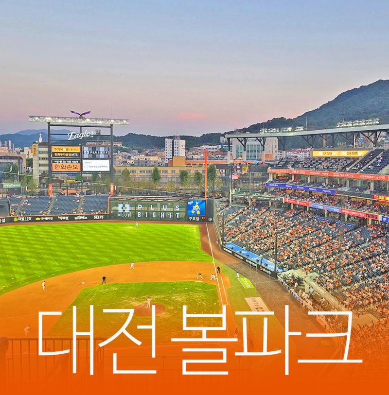 대전 야구장 한화 이글스 볼파크 420구역 시야방해석 먹거리 주차장