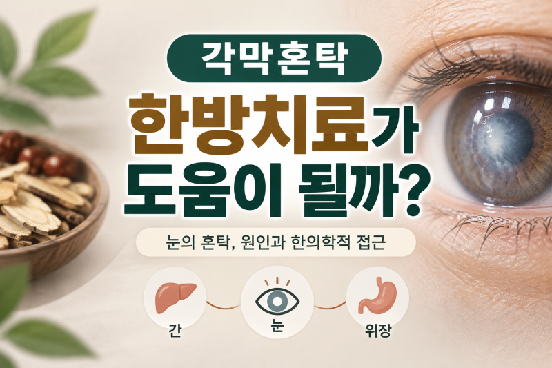 각막혼탁 예막(翳膜), 간과 위장 기능도 살펴봐야 할까요?