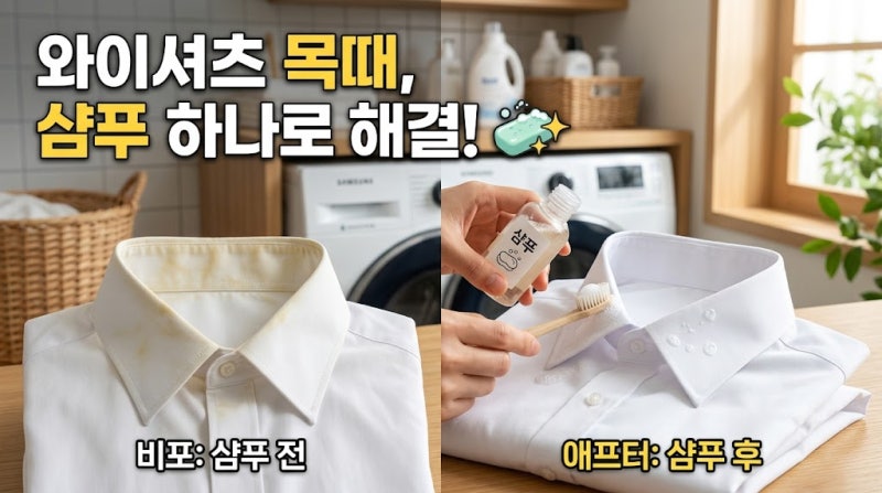 와이셔츠 목때 샴푸로 지우는 애벌빨래 꿀팁