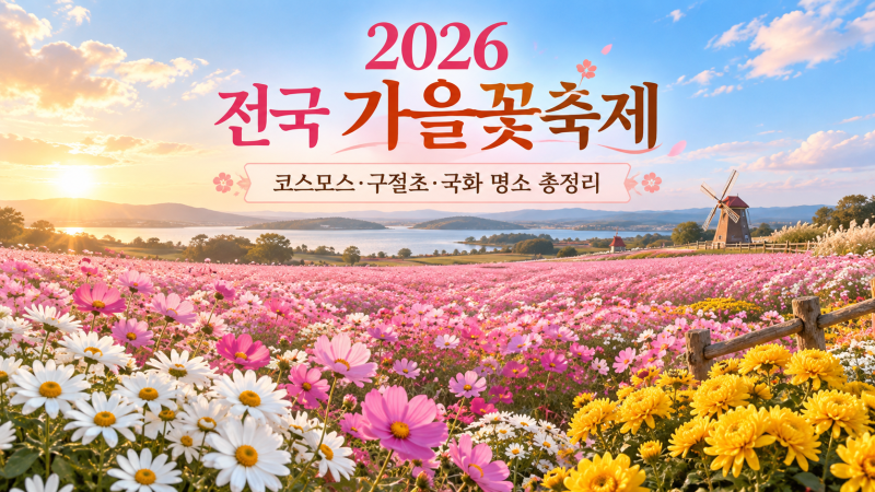 2026 전국 가을꽃축제 일정 총정리｜코스모스·구절초·국화 명소 추천