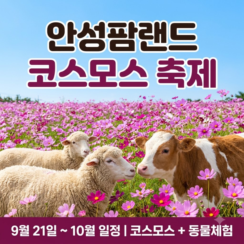 2026 안성팜랜드 코스목동 축제 9월 10월 일정 총정리! 코스모스 개화와 동물 체험 꿀팁 3가지