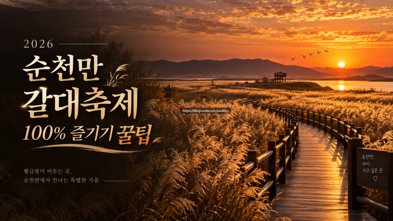 2026 순천만 갈대축제 가을 일정 및 순천만습지 주차장 셔틀 명당 팩트체크