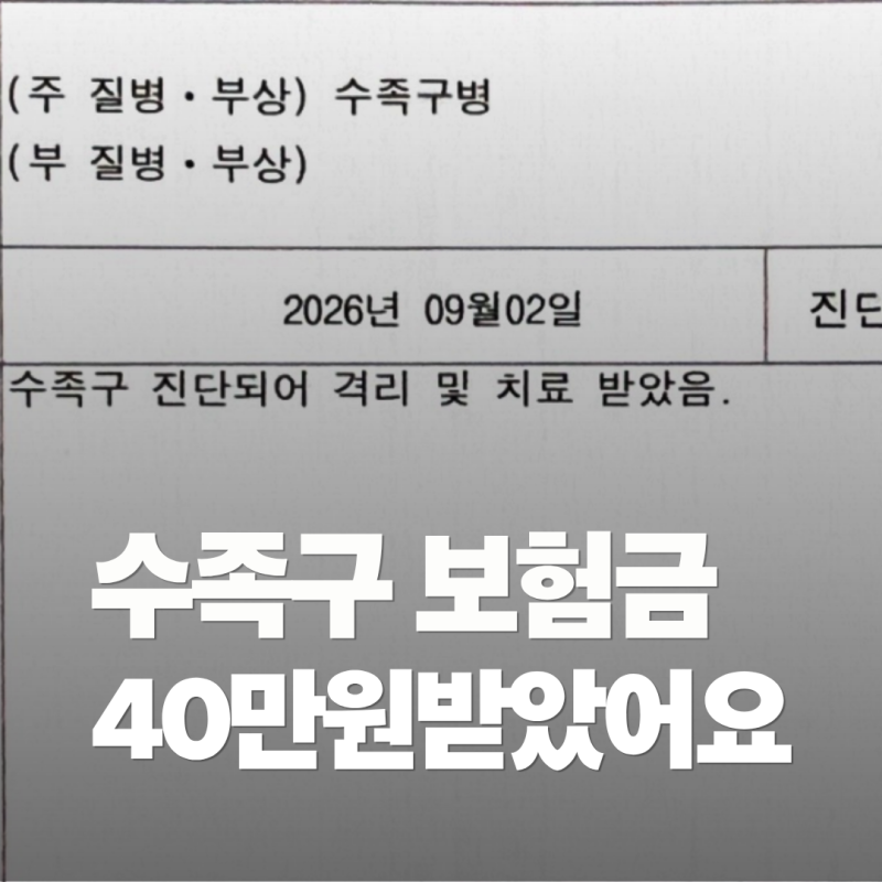 수족구 보험금 청구 서류 총정리 11개월 쌍둥이 어린이보험 실제 지급 금액