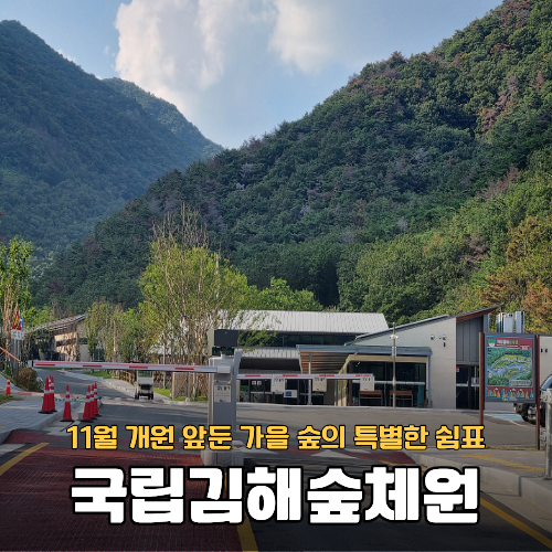 가을 숲의 품으로 떠나는 특별한 쉼표, 11월 개원 앞둔 국립김해숲체원~~