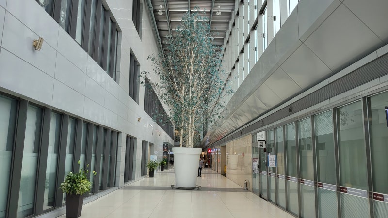 김포공항 국제선 주차장 예약 하고 실내주차장 이용 하기