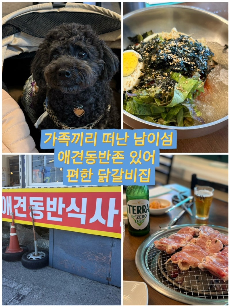 남이섬 애견동반 맛집｜가평 숯불닭갈비 안반지닭갈비