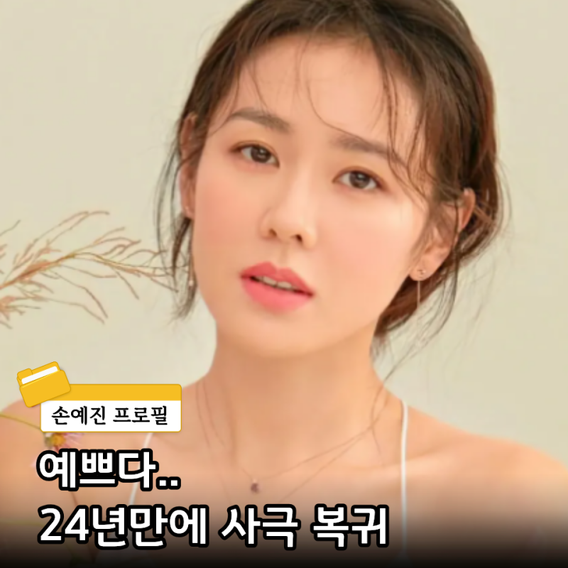 "어떻게 이게 40대야" 스캔들로 난리난 손예진 프로필 결혼 현빈 아들 필모그래피