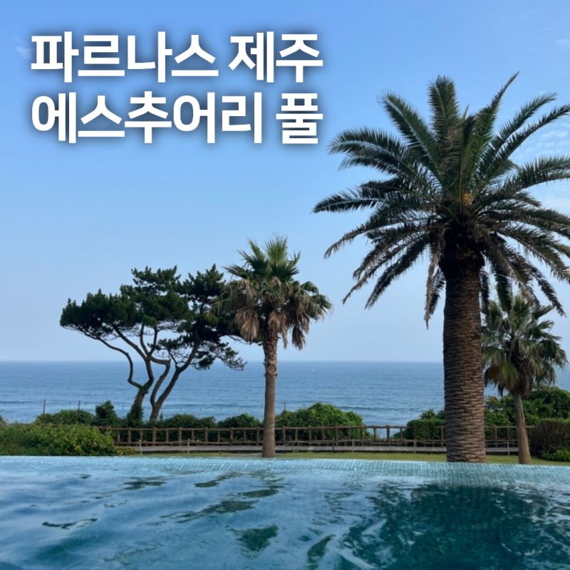 파르나스 제주 5성급 호텔 수영장 숙박 후기 아이랑/규정/필수