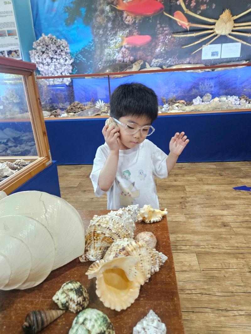 울산 울주 아이랑 갈만한 곳 울산해양박물관 희귀산호와 패류관 평일 관람 솔직후기 아쉬운 ....