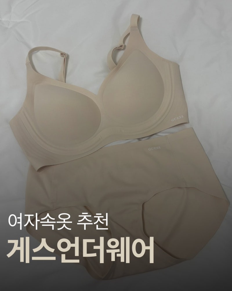 게스언더웨어 노와이어브라 추천 후기
