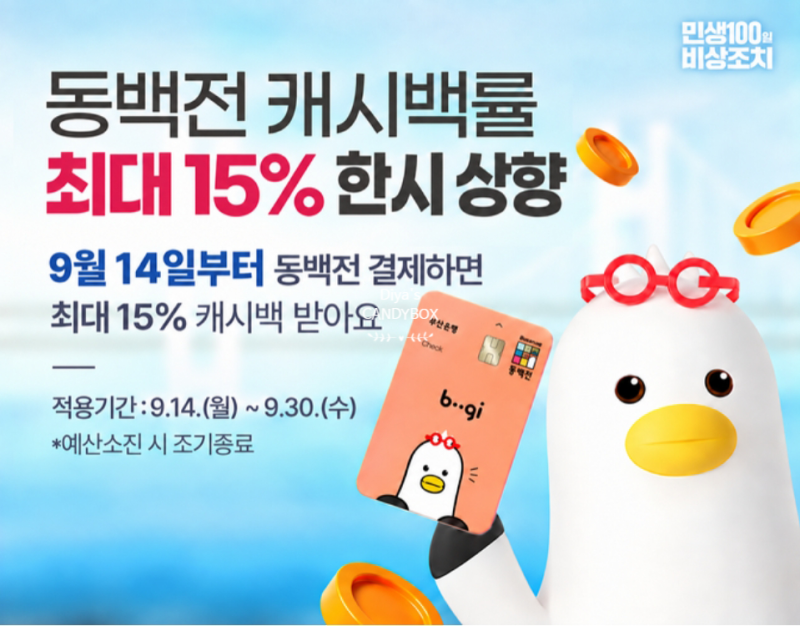 밥값 부담 확 줄었다? 부산 시민 웅성거리게 만든 동백전 15% 환급의 비밀