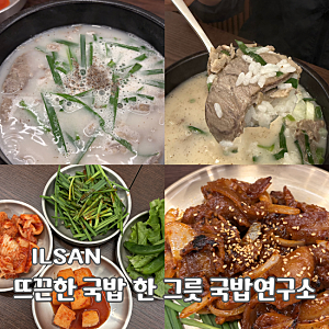 일산 국밥맛집 웨돔 국밥연구소 제육 뽈살국밥 후기