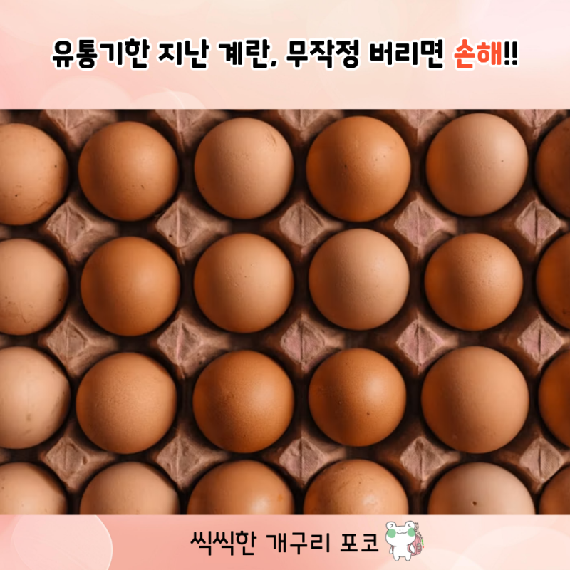 유통기한 지난 계란, 버리기 직전이라면 딱 이것만 확인하세요.