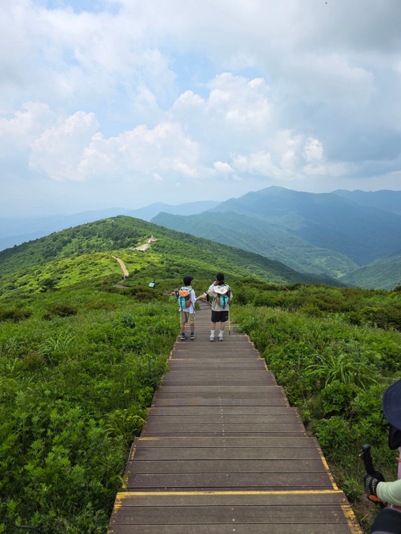 지리산 노고단 아이와 함께 가는 코스: 난이도, 탐방예약, 준비물 꿀팁