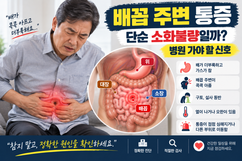 배꼽 주변 통증 원인은? 위치별 복통과 병원 가야 할 증상