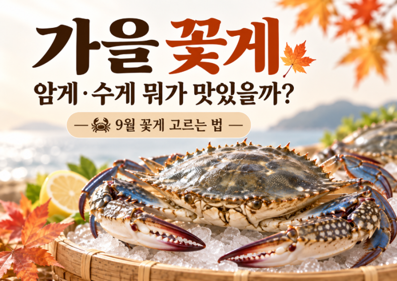 가을 꽃게 암게·수게 뭐가 맛있을까? 9월 꽃게 고르는 법
