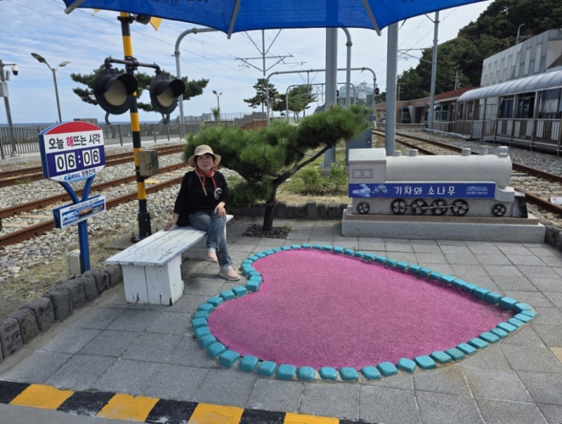 정동진역 바다구경 실컷 할수있는 팁