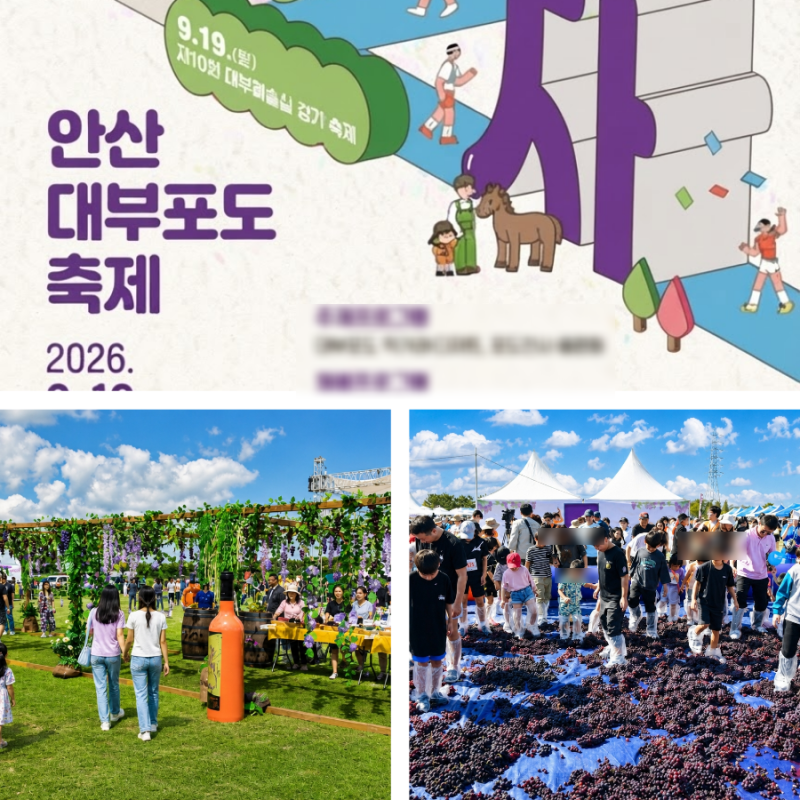 2026 안산 대부포도축제 금잔디 진시몬 무대까지 가볼만한곳 총정리