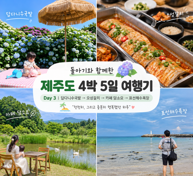 제주 4박5일 여행｜돌아기랑 다녀온 3일차 코스