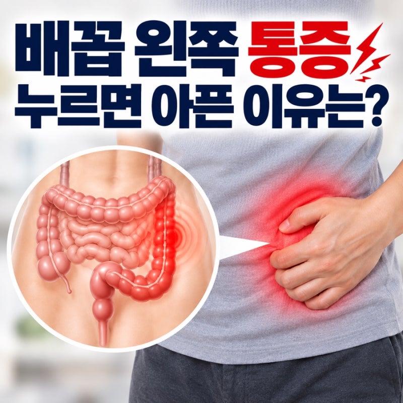 배꼽 왼쪽 통증 누르면 아픈 이유