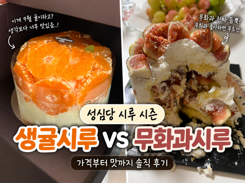 성심당 시루 시즌 무화과시루 생귤시루 가격 및 후기