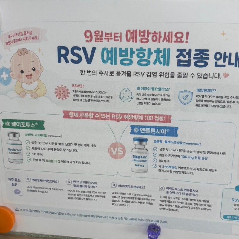 RSV 예방접종 후기 | 신생아 접종시기 증상 가격 비용 베이포투스 엔플론시아 A to Z