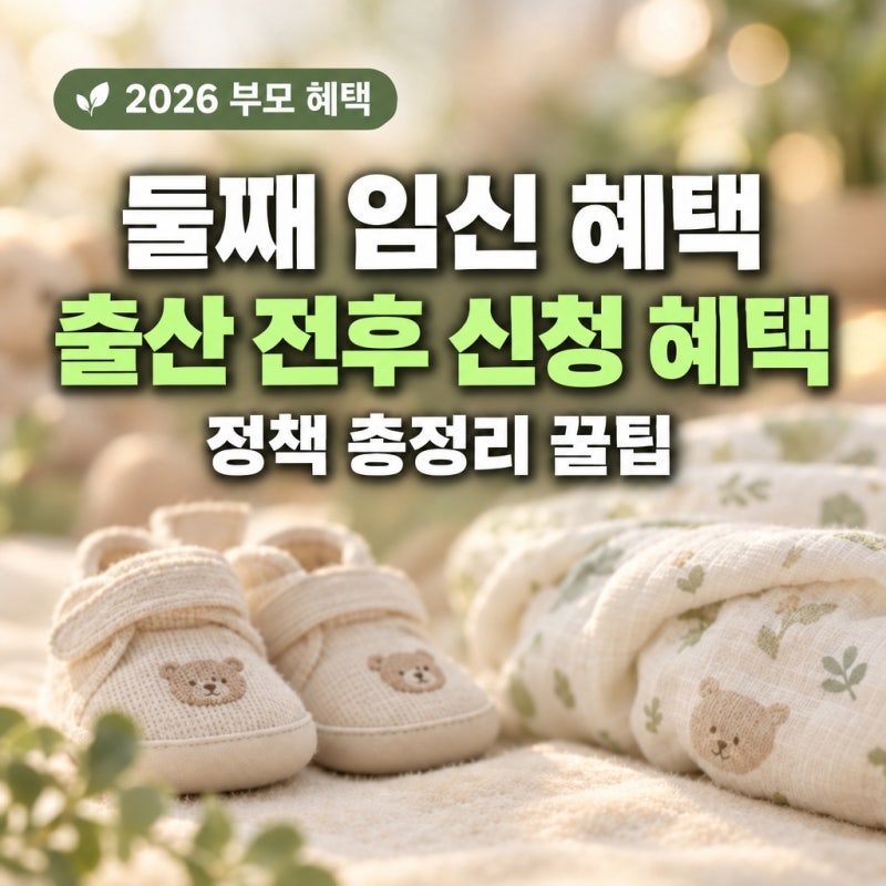 둘째 임신했다면 다자녀 혜택까지 겹쳐서 받는 꿀팁 총정리해봤어요