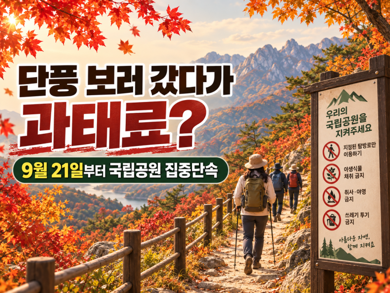 가을 단풍 보러 갔다가 과태료? 9월 21일부터 국립공원 집중단속