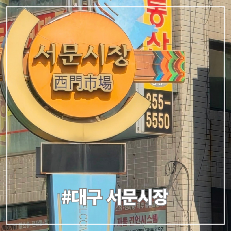 [☘️대구 서문시장] 2지구/ 옷 구경/ 잠옷 추천/ 주차 정보