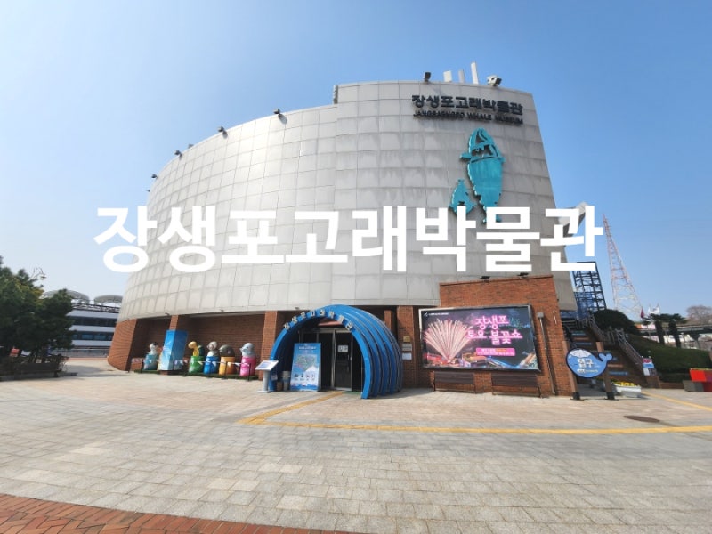 장생포고래박물관 시티투어버스 타고 다녀온 울산 여행 실내 가볼만한곳