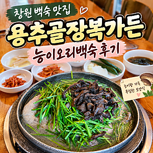 창원백숙맛집 용추골장복가든 능이 오리백숙 가족모임 솔직후기ㅣ창원회식장소 추천