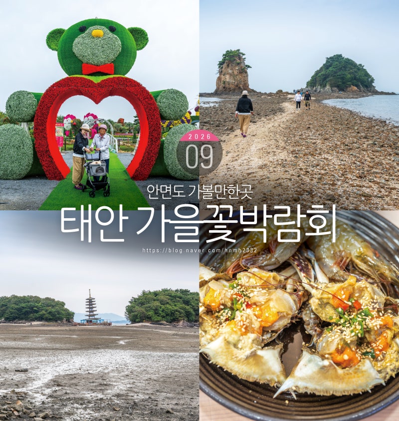 태안 가을꽃박람회 9월 꽃축제 9월 안면도 가볼만한곳