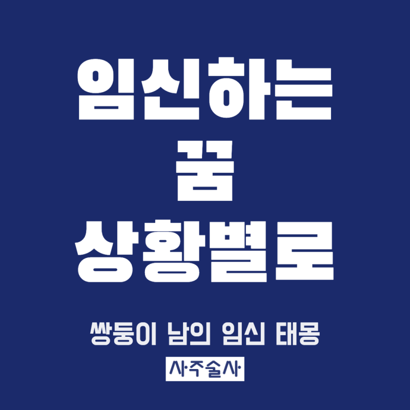 임신하는 꿈 해몽, 임신한 꿈 쌍둥이 꿈 남의 임신 꿈 상황별 뜻