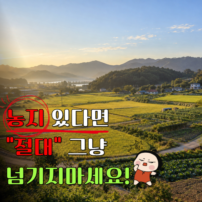 "내 땅은 괜찮을까?" 2026 농지 전수조사 대상·과태료·대응방법 총정리