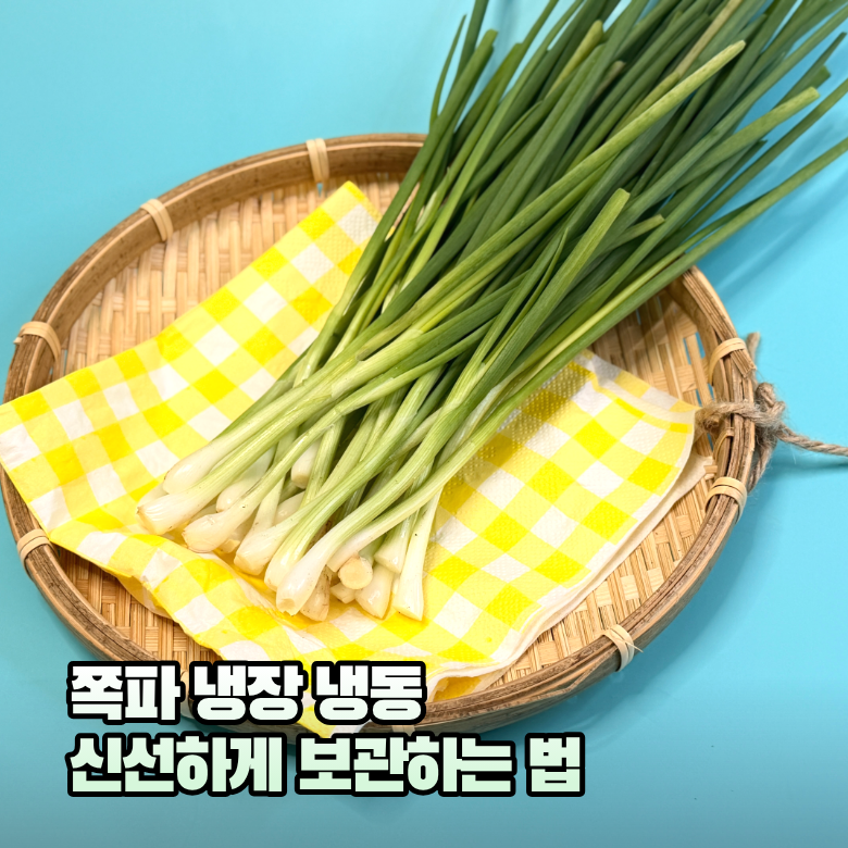 쪽파보관법 가을 쪽파 어떻게 보관할까? 냉장 냉동 방법