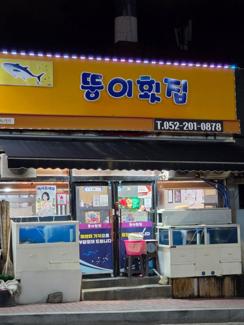 울산 병영 맛집 [뚱이횟집] 가을 전어회 내돈내산 솔직 후기