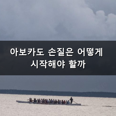 아보카도 어떻게 손질하고 먹어야 할까? 초보자를 위한 아보카도 먹는 법