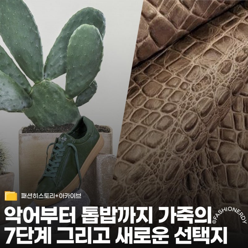 같은 소가죽인데 5만 원과 500만 원으로 갈리는 이유,가죽 계급도