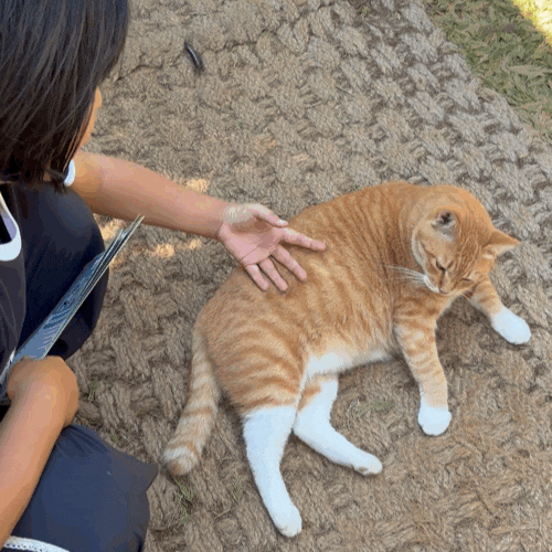 제주 동쪽 가볼만한곳 김녕미로공원, 가족여행 필수 코스