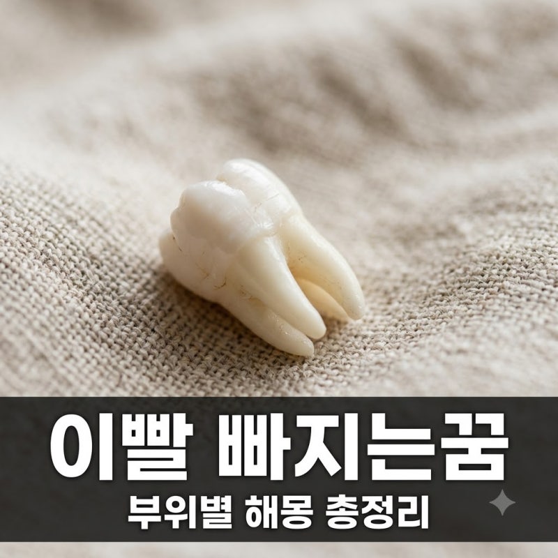 이빨 빠지는꿈 해몽 총정리! 부위별 의미와 길몽 흉몽 완벽 가이드